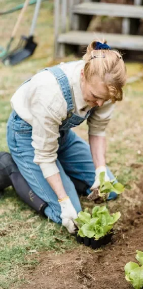 Environmental consultancy